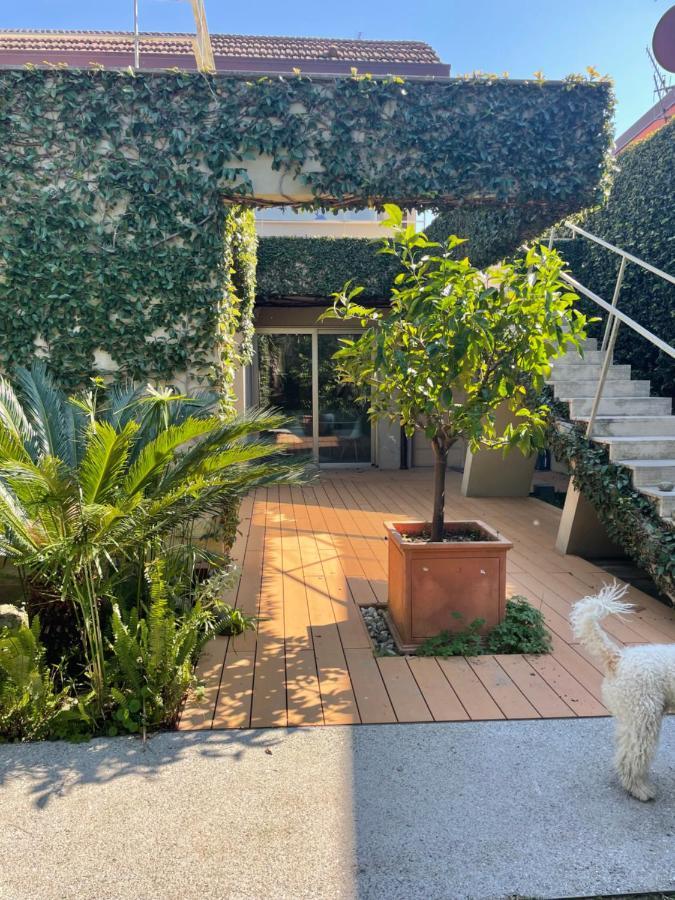 Joey Pietrasanta Exterior foto